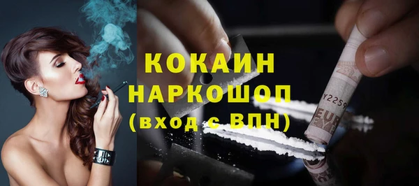 гидра Новозыбков