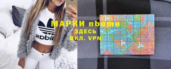 индика Новодвинск