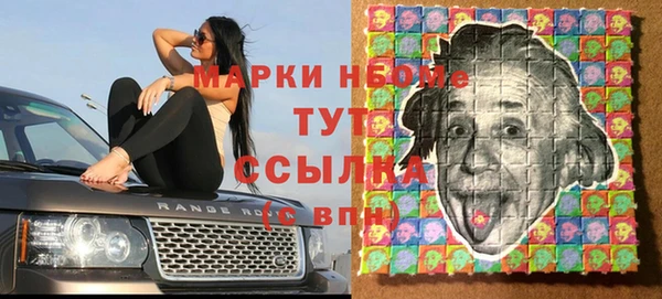 тгк Абаза