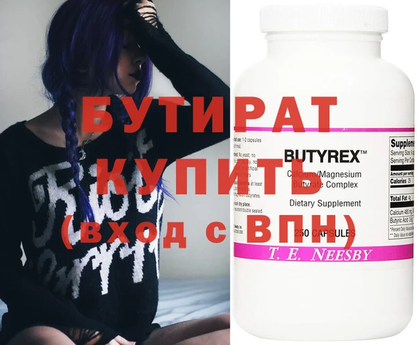 индика Новодвинск