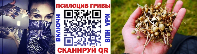 блэк спрут tor  Пошехонье  Галлюциногенные грибы мухоморы 